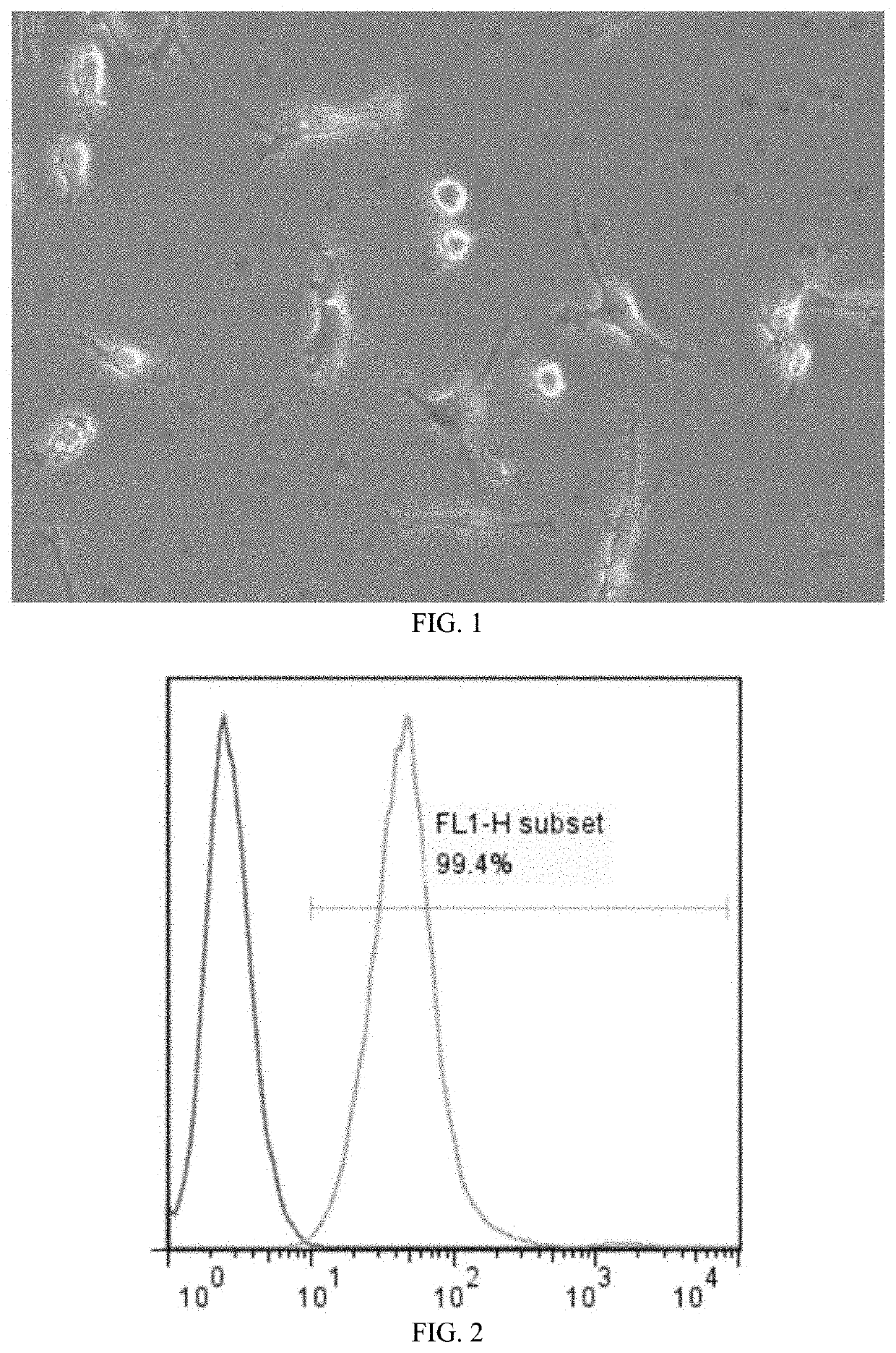 Afft2 cell