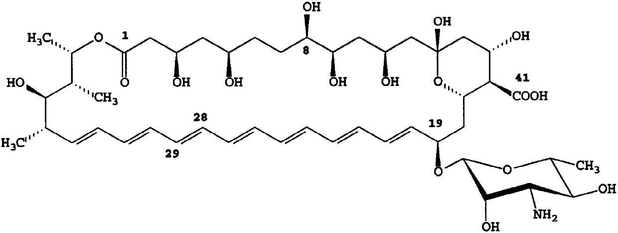 Recombined streptomyces nodosus capable of producing amphotericin B and application thereof