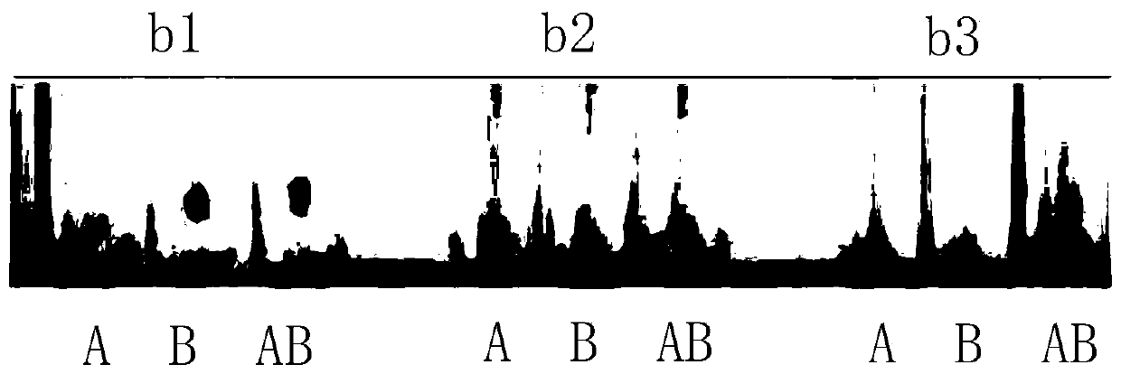 Hybridoma cell strain capable of secreting anti-human AB blood type IgM type monoclonal antibodies, monoclonal antibodies, and application