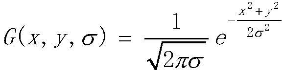 Digital video image-stabilizing method based on block motion estimation