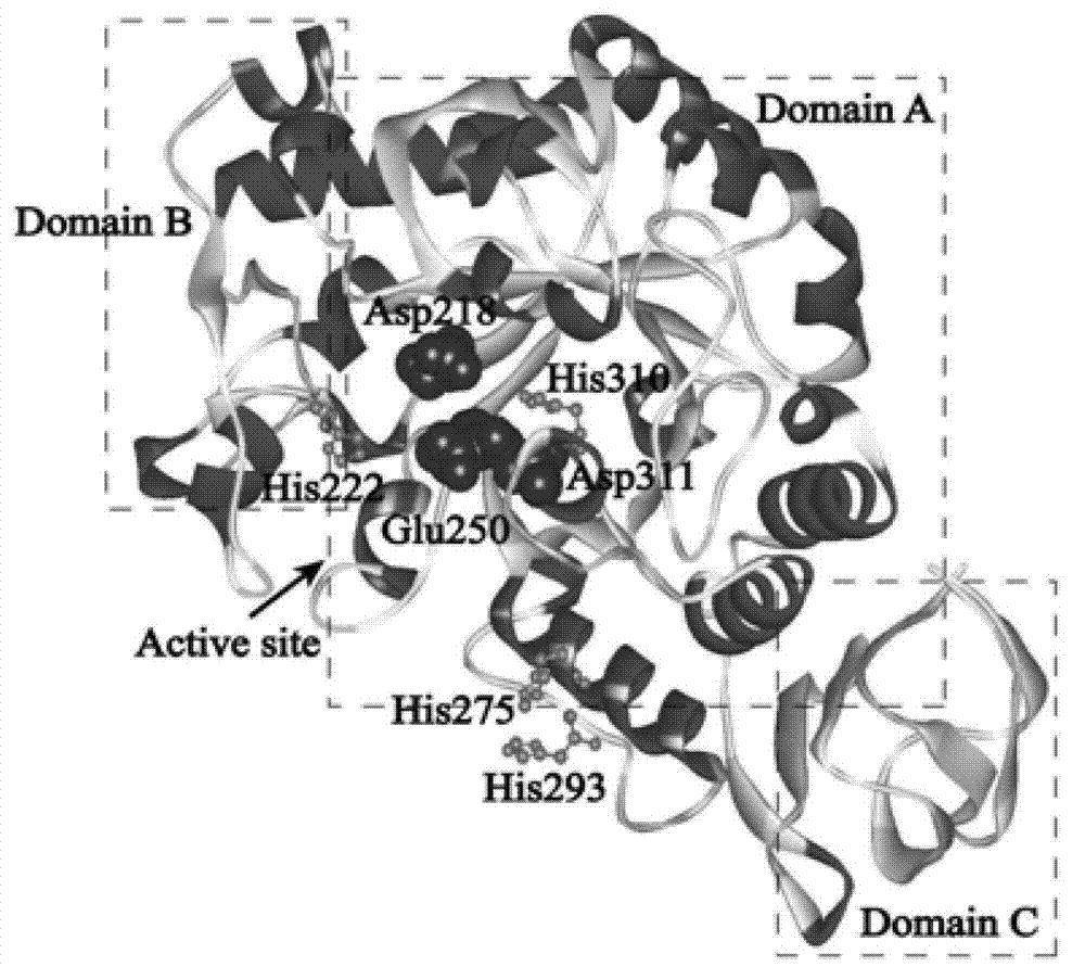 Acid-resistant amylase mutant, and preparation method and application thereof