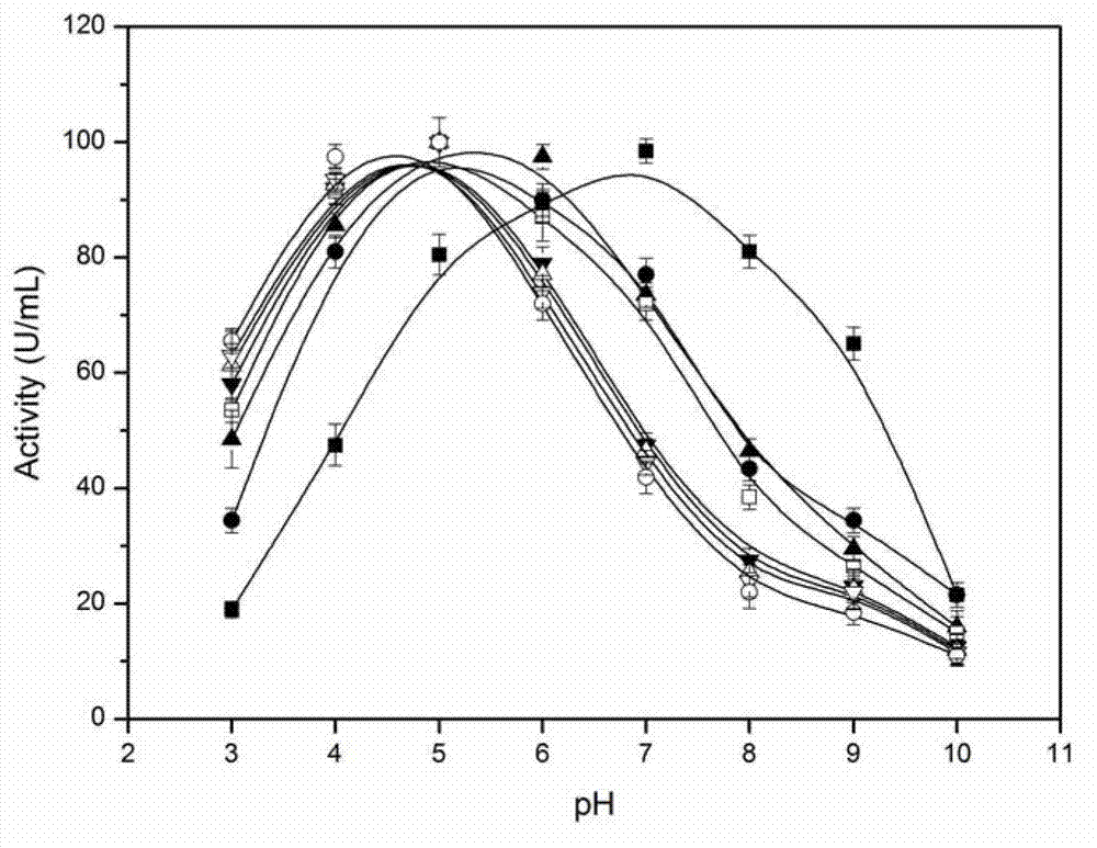 Acid-resistant amylase mutant, and preparation method and application thereof