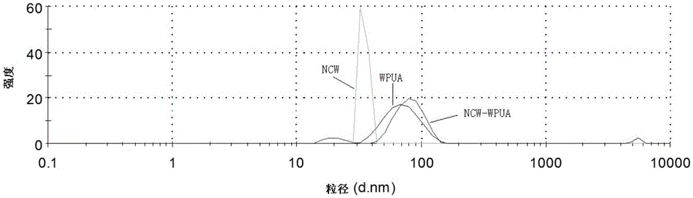 Nano cellulose whisker grafted water-diluted photocuring PUV (polyurethane acrylate) resin, and preparation and application thereof