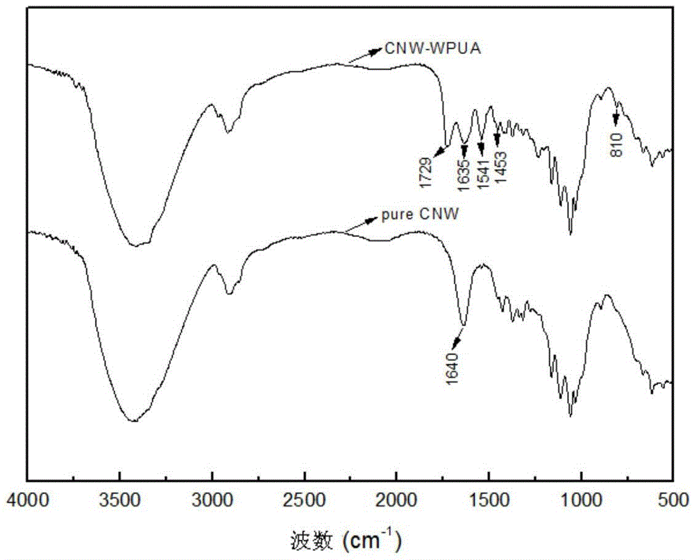 Nano cellulose whisker grafted water-diluted photocuring PUV (polyurethane acrylate) resin, and preparation and application thereof