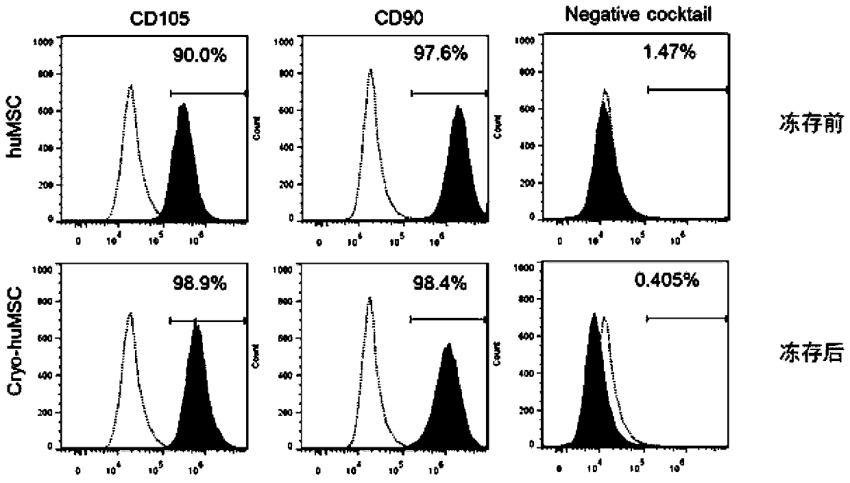 Cryoprotectant for umbilical cord mesenchymal stem cells and application of cryoprotectant