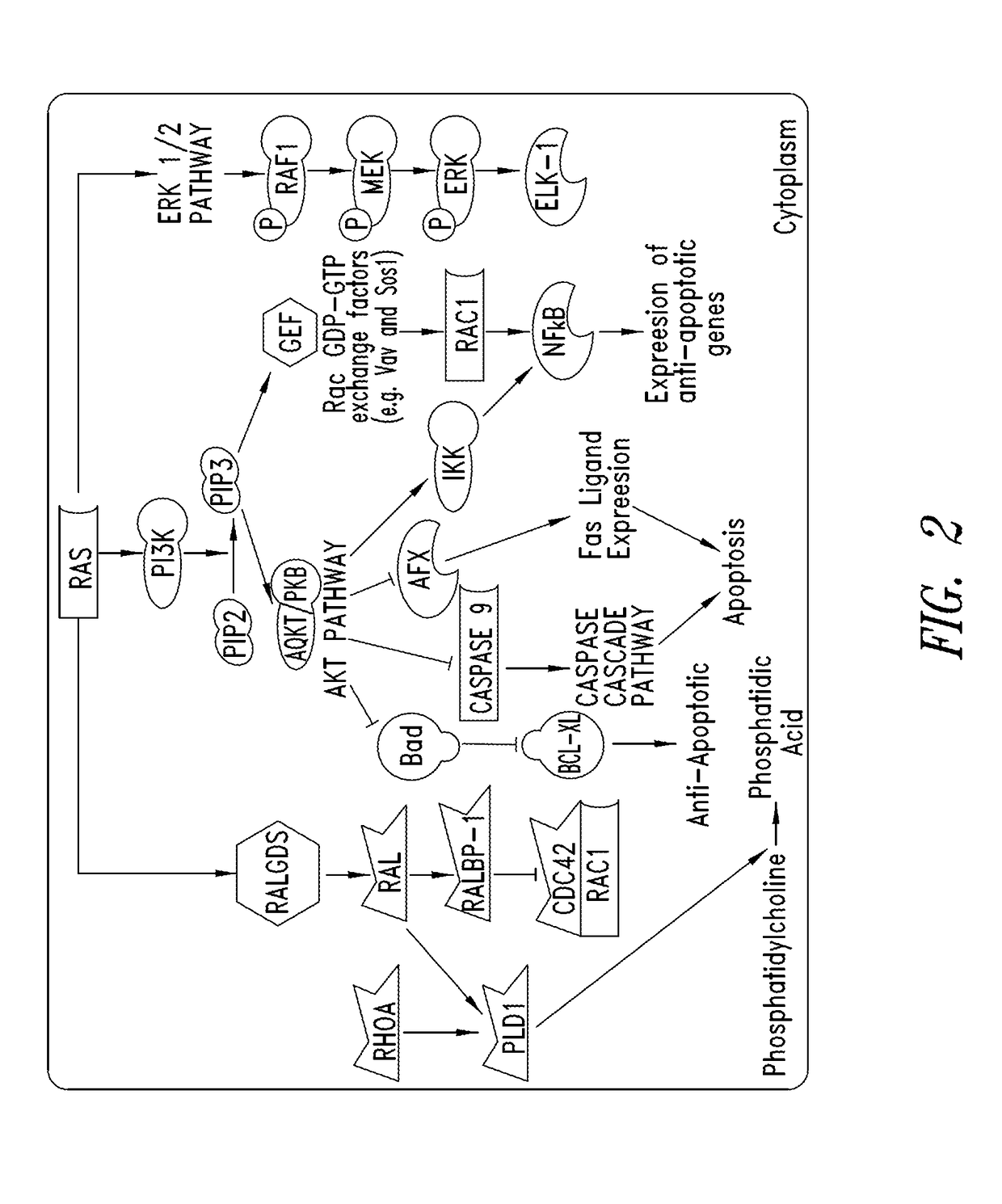 Fused-tricyclic inhibitors of kras and methods of use thereof