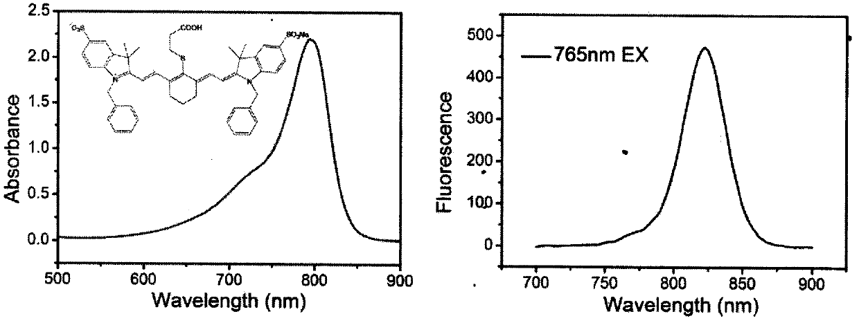 A heptamethine fluorescent dye and its application in precise diagnosis and treatment of tumors