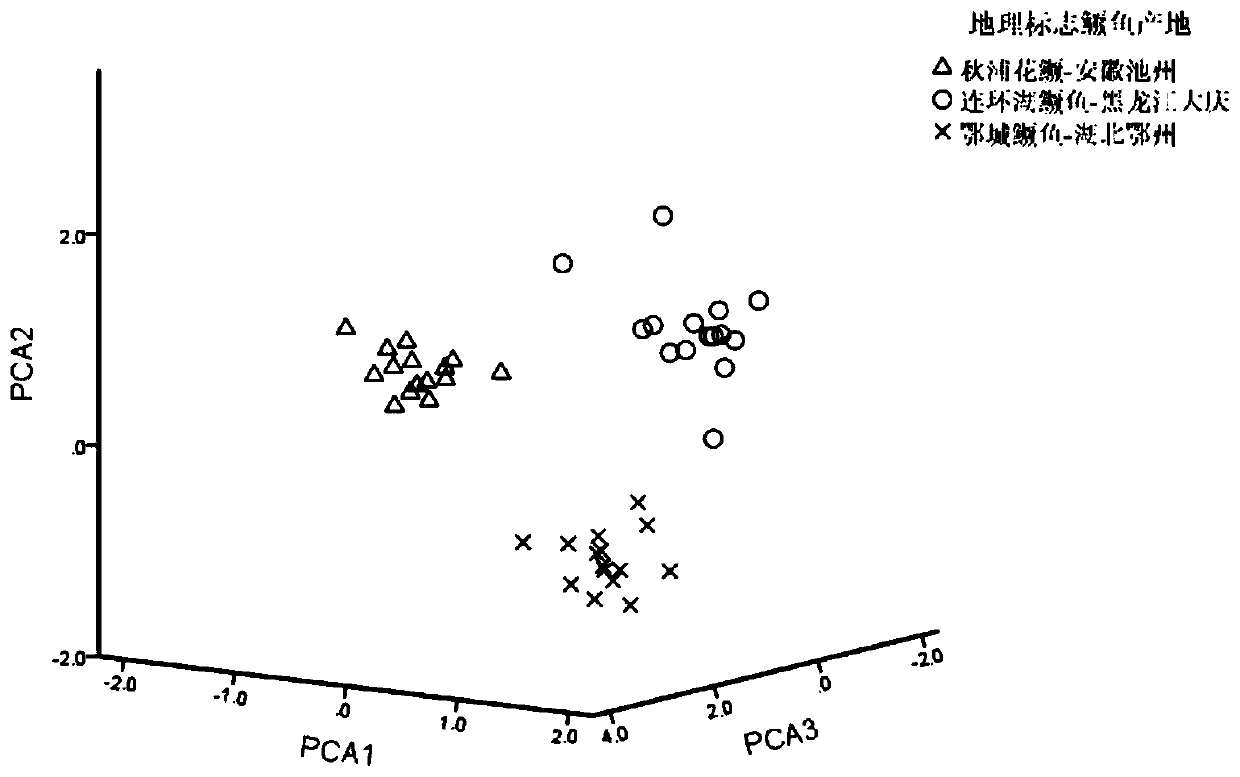 Geographical origin tracing identification method for geographical indication mandarin fishes