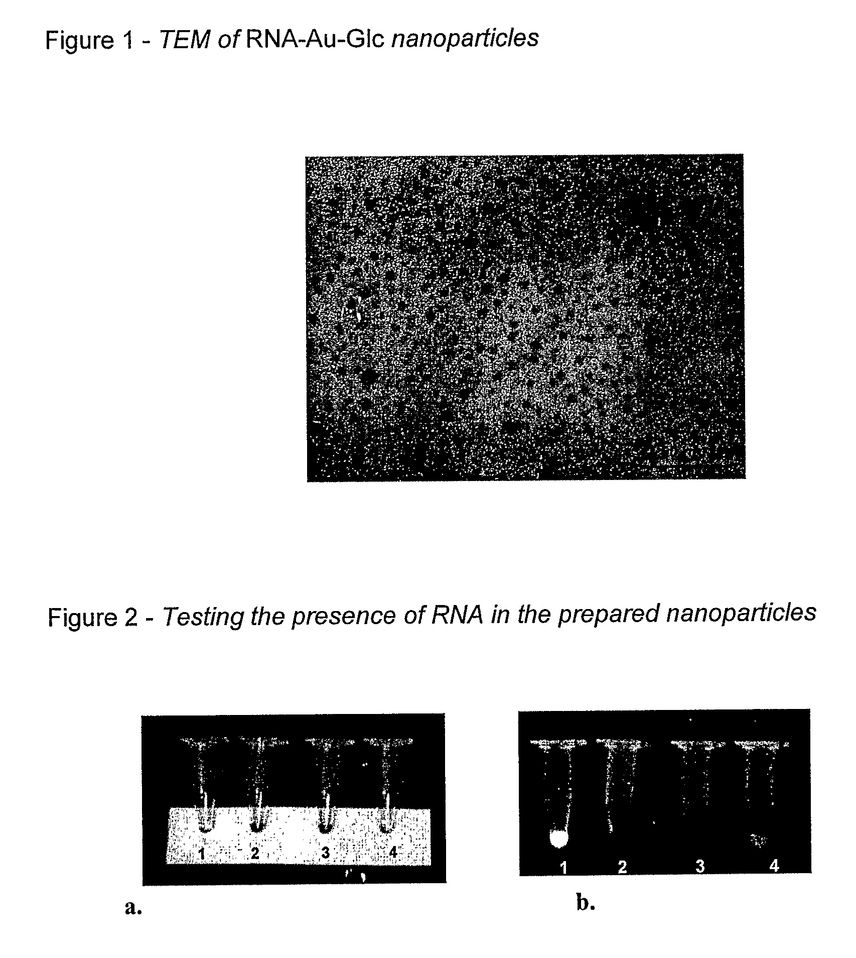 Nanoparticles Comprising Rna Ligands