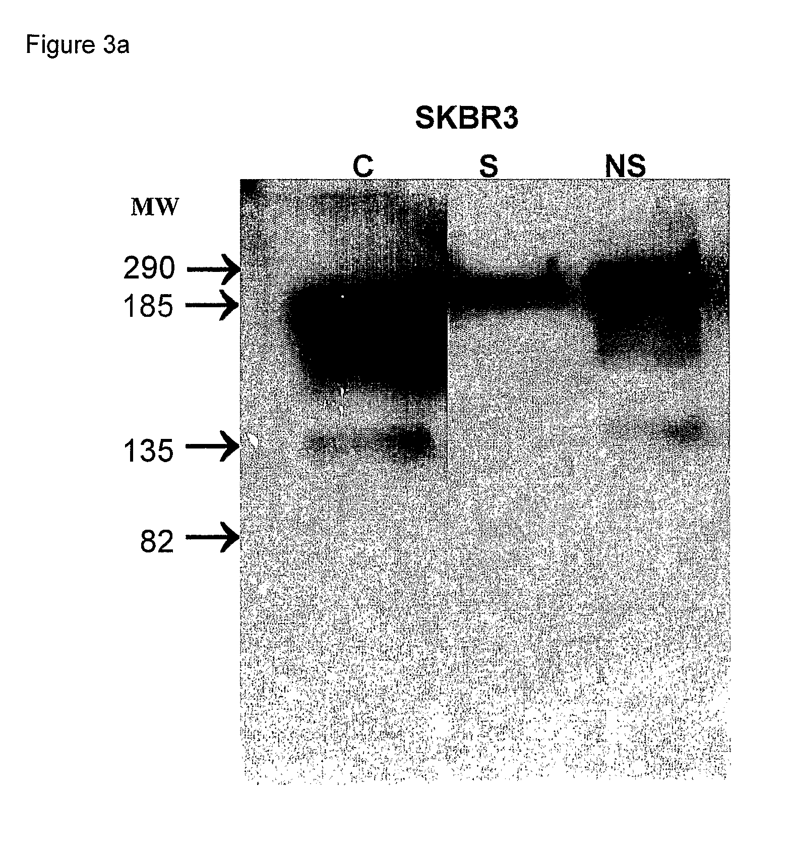 Nanoparticles Comprising Rna Ligands