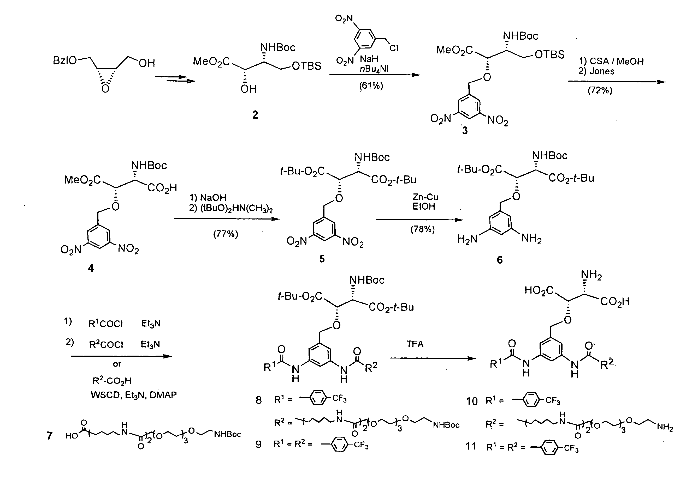 Beta-Benzyloxyaspartic Acid Derivatives Having Two Substituents on Their Benzene Rings