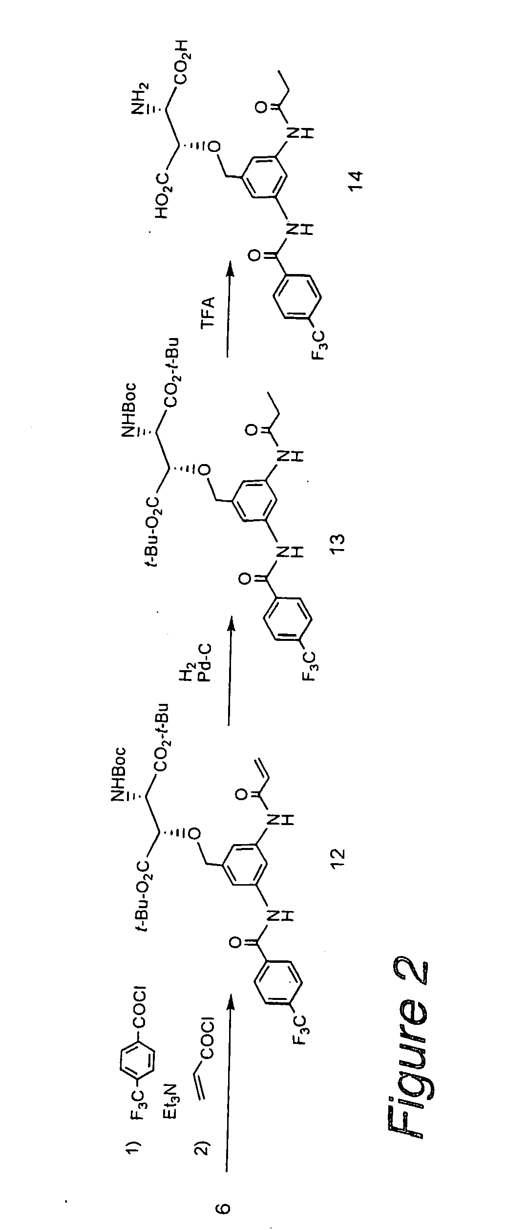 Beta-Benzyloxyaspartic Acid Derivatives Having Two Substituents on Their Benzene Rings