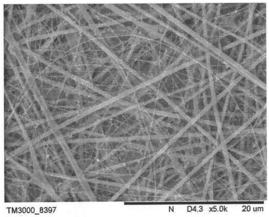 Blue shark fishskin collagen periodontium guided regeneration nanofiber membrane and preparing method thereof