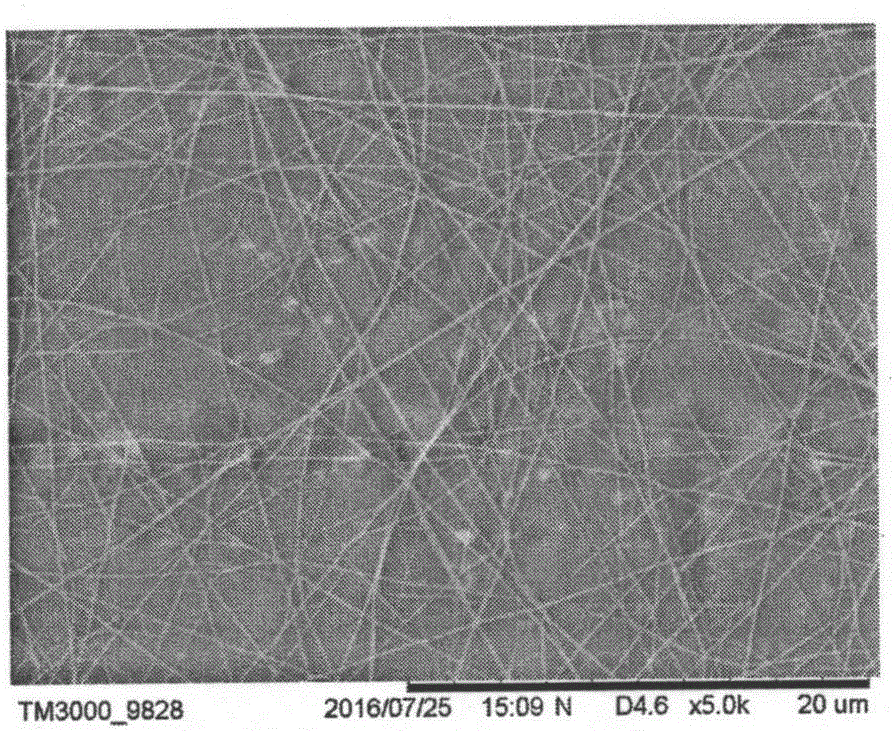 Blue shark fishskin collagen periodontium guided regeneration nanofiber membrane and preparing method thereof