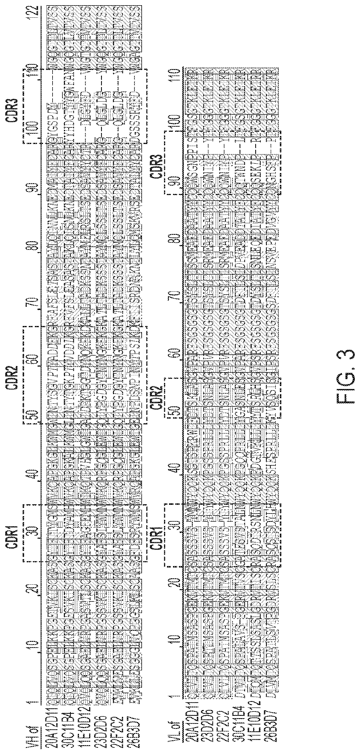 Anti-cd137 antibodies and  uses thereof