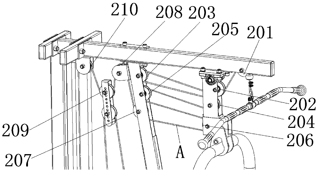 Diversified muscle body functional training apparatus