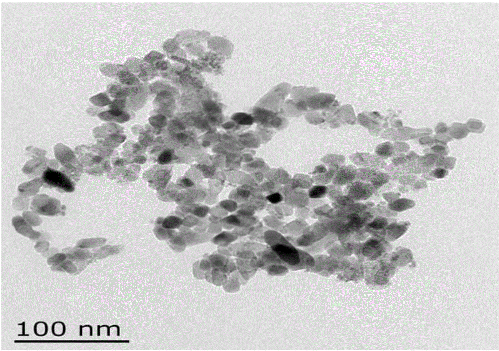 Titanium dioxide/tin sulfide composite material, preparation method and application thereof