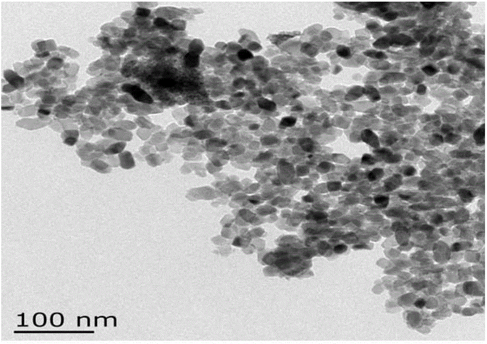 Titanium dioxide/tin sulfide composite material, preparation method and application thereof