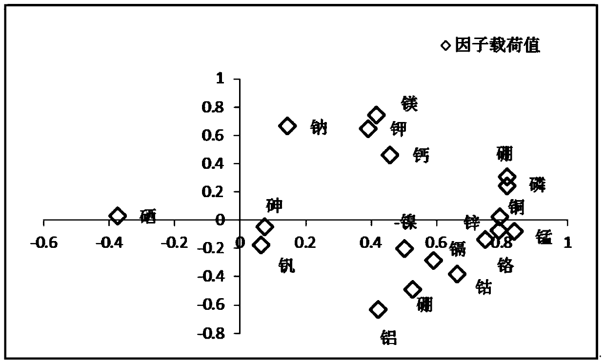 Potato production place tracing method based on mineral elements and stable isotopes