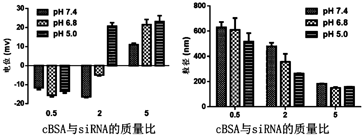 A bionic nano-erythrocyte gene carrier and its preparation method and application