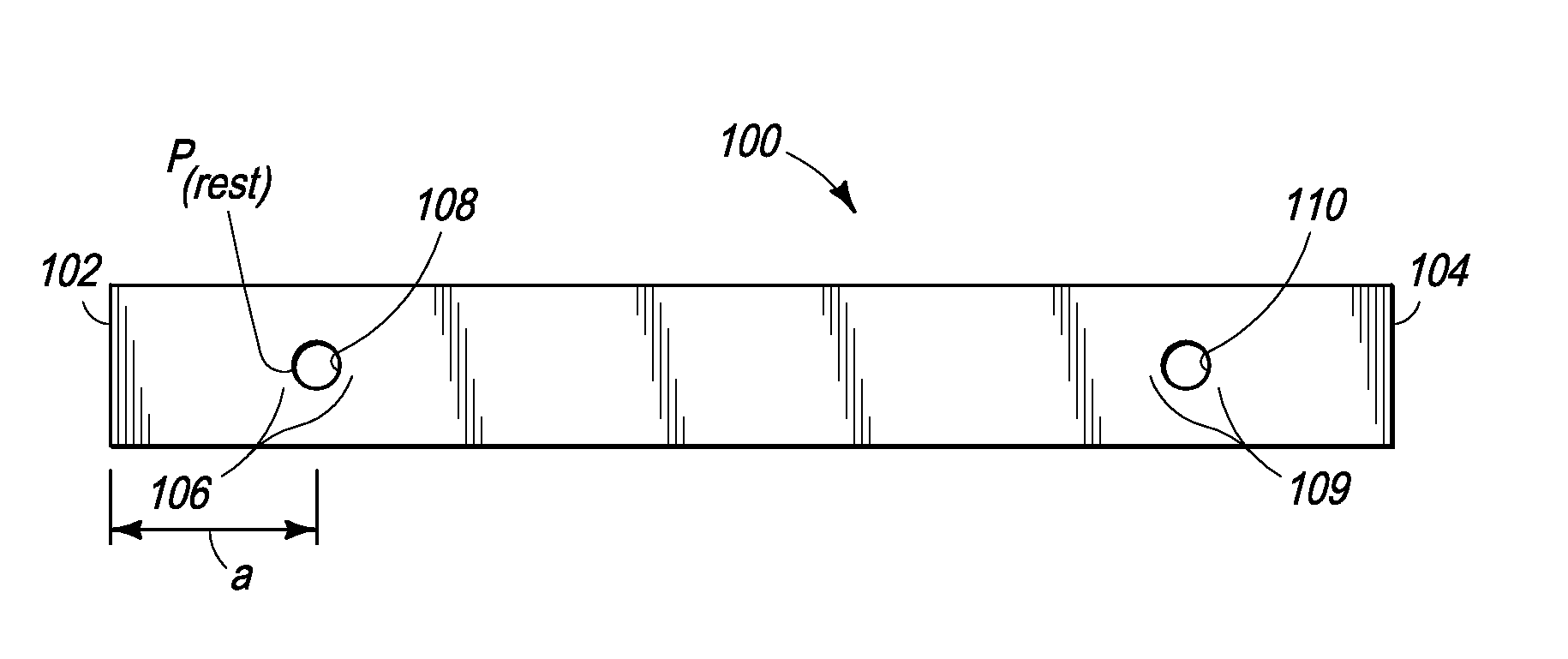 Method and apparatus for land and aquatic exercise