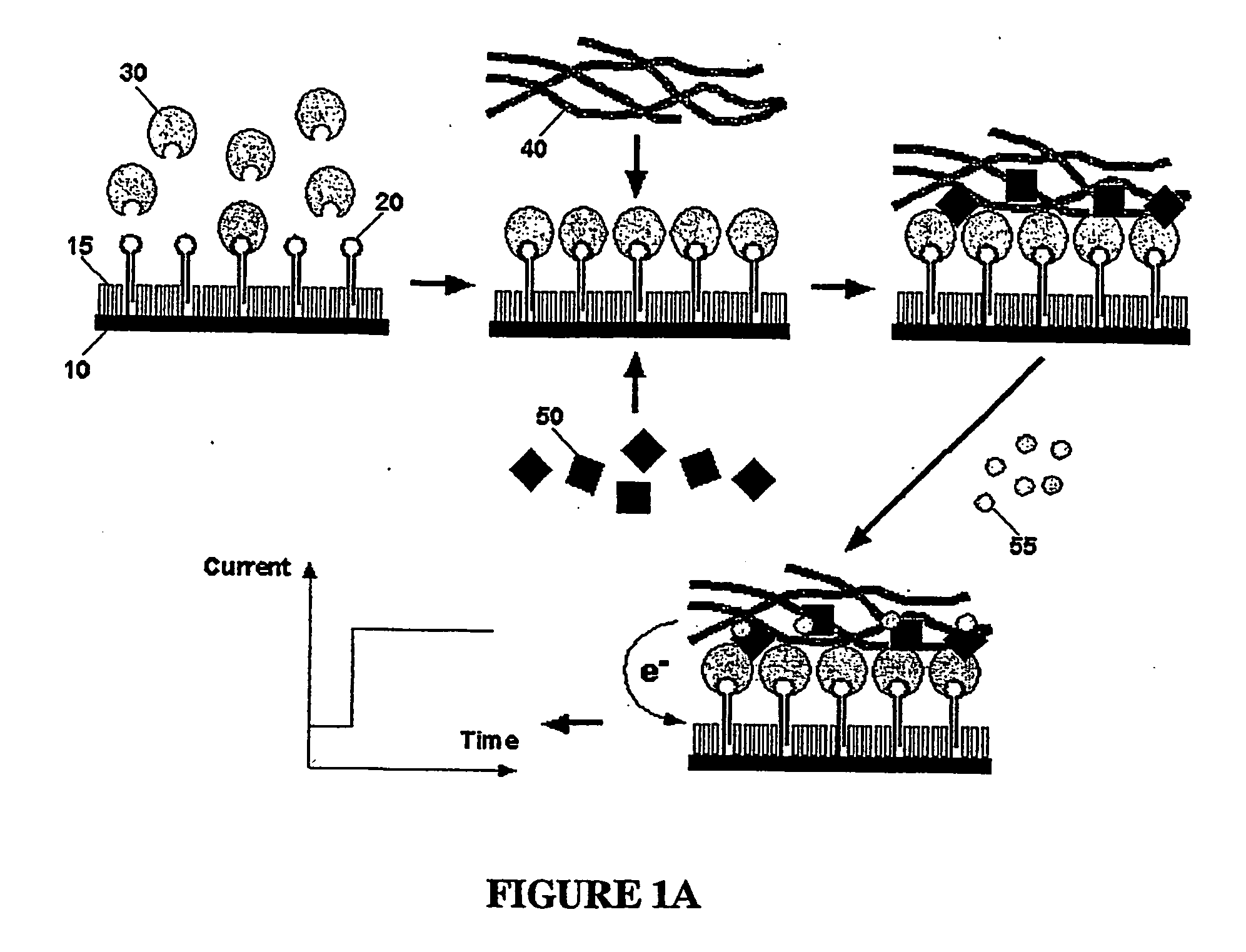 Method for detecting analytes by means of an analyte/polymeric activator bilayer arrangement