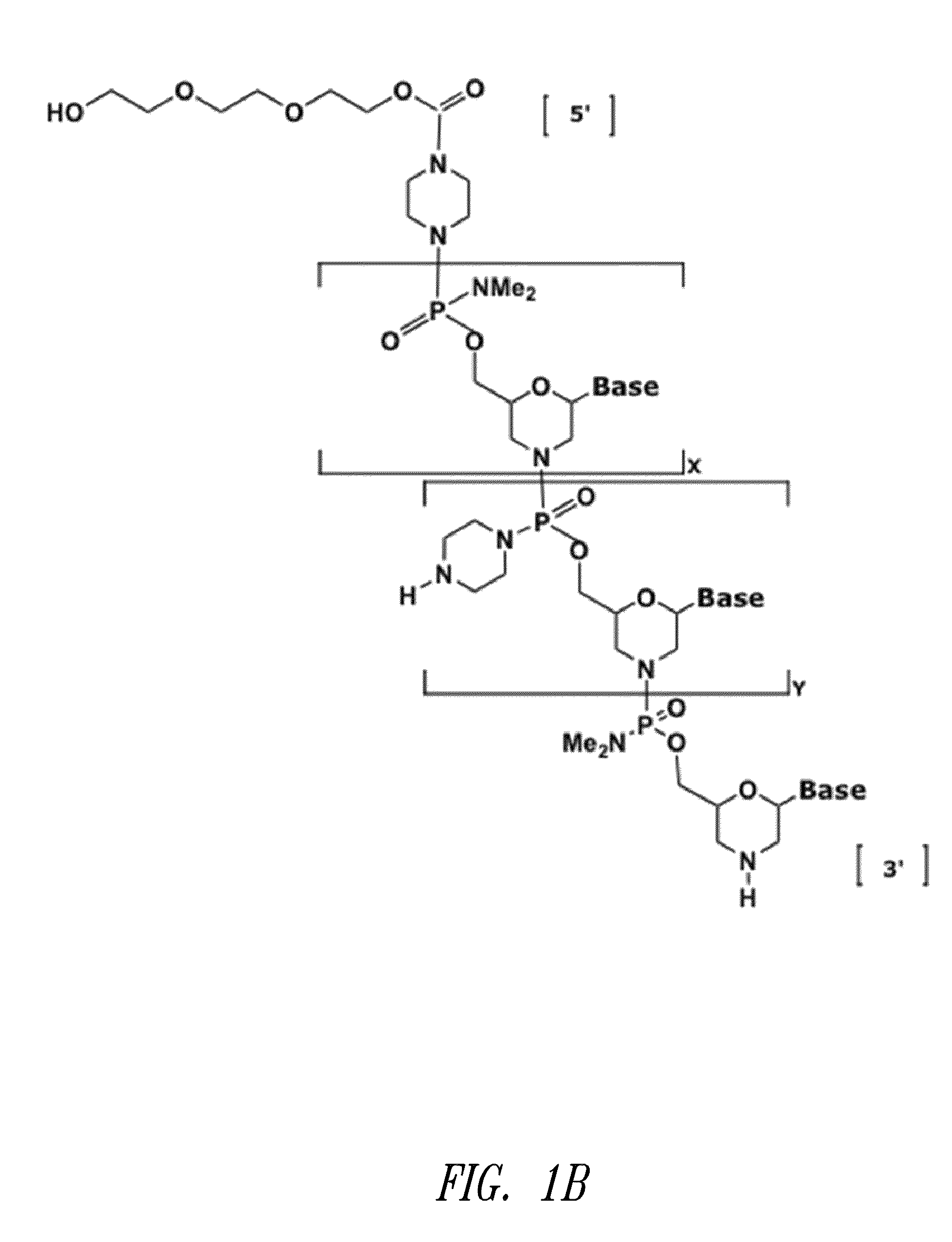 Antisense modulation of nuclear hormone receptors