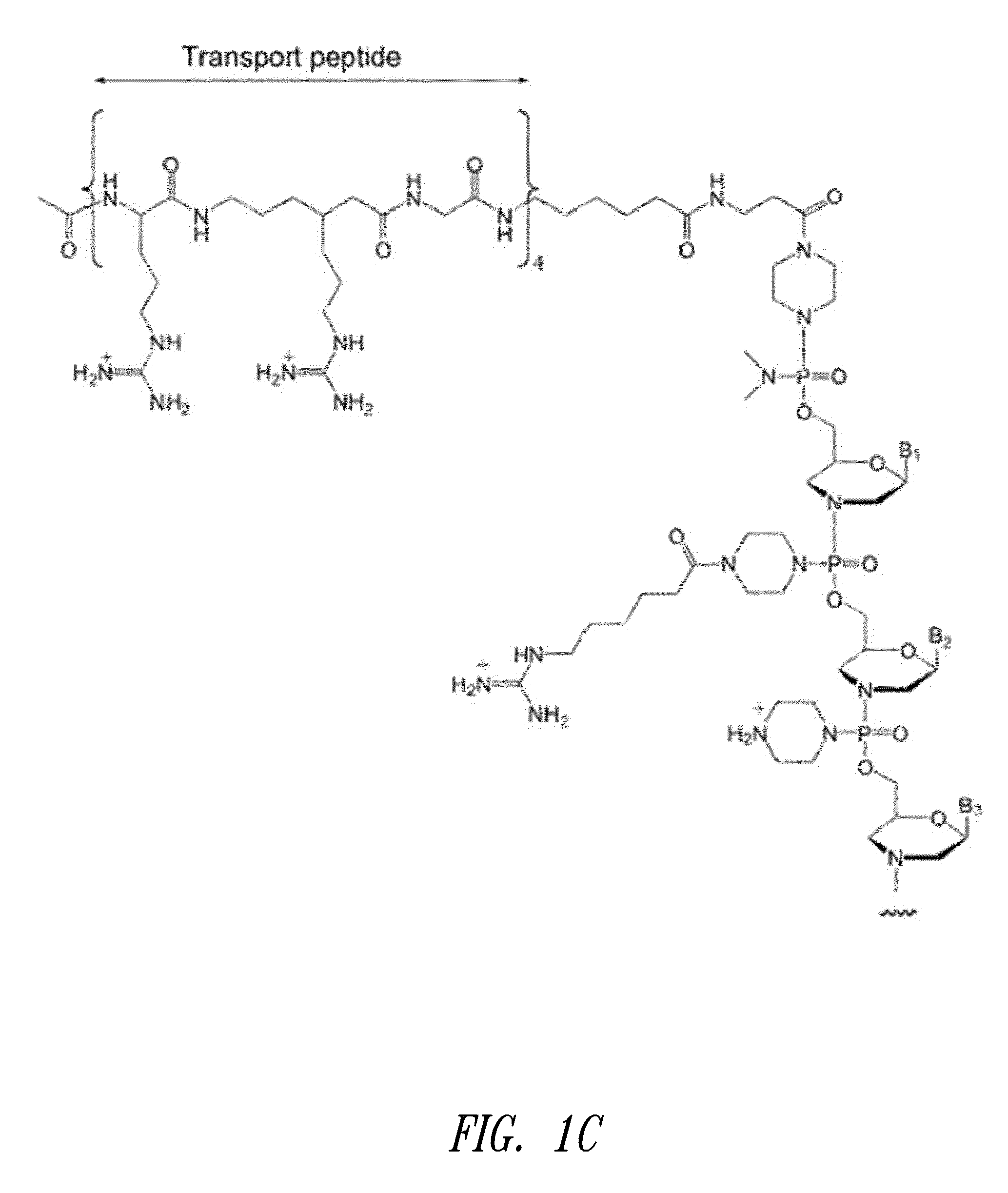 Antisense modulation of nuclear hormone receptors