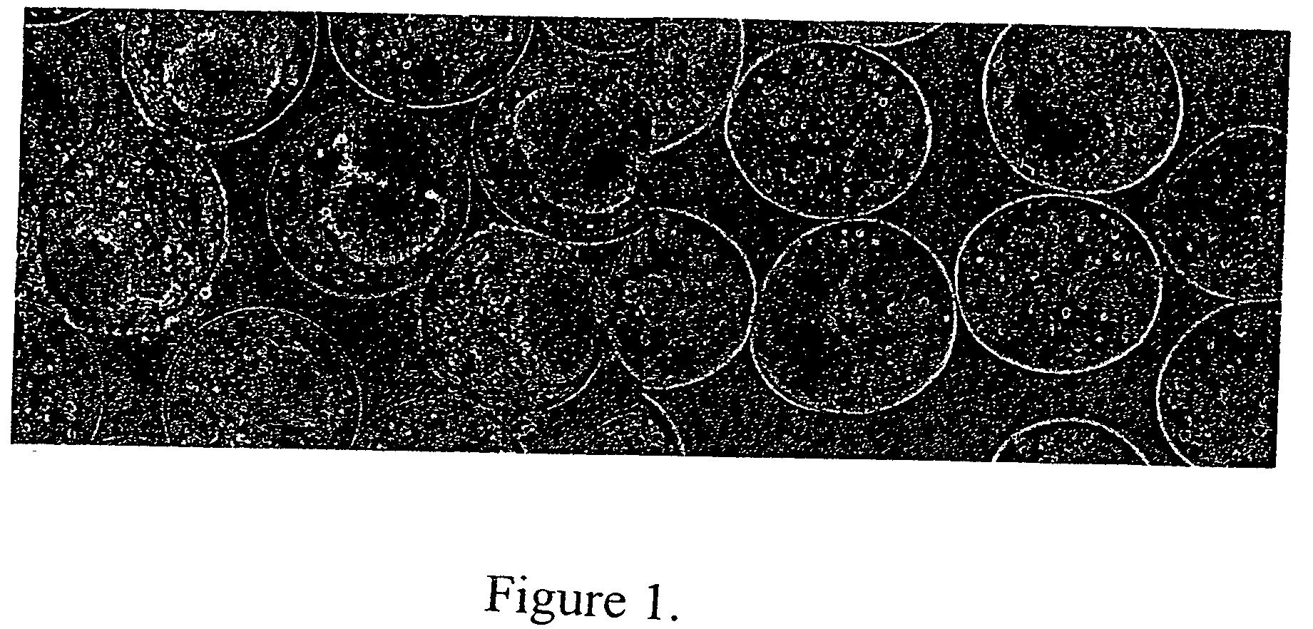 Use of alginate matrices to control cell growth