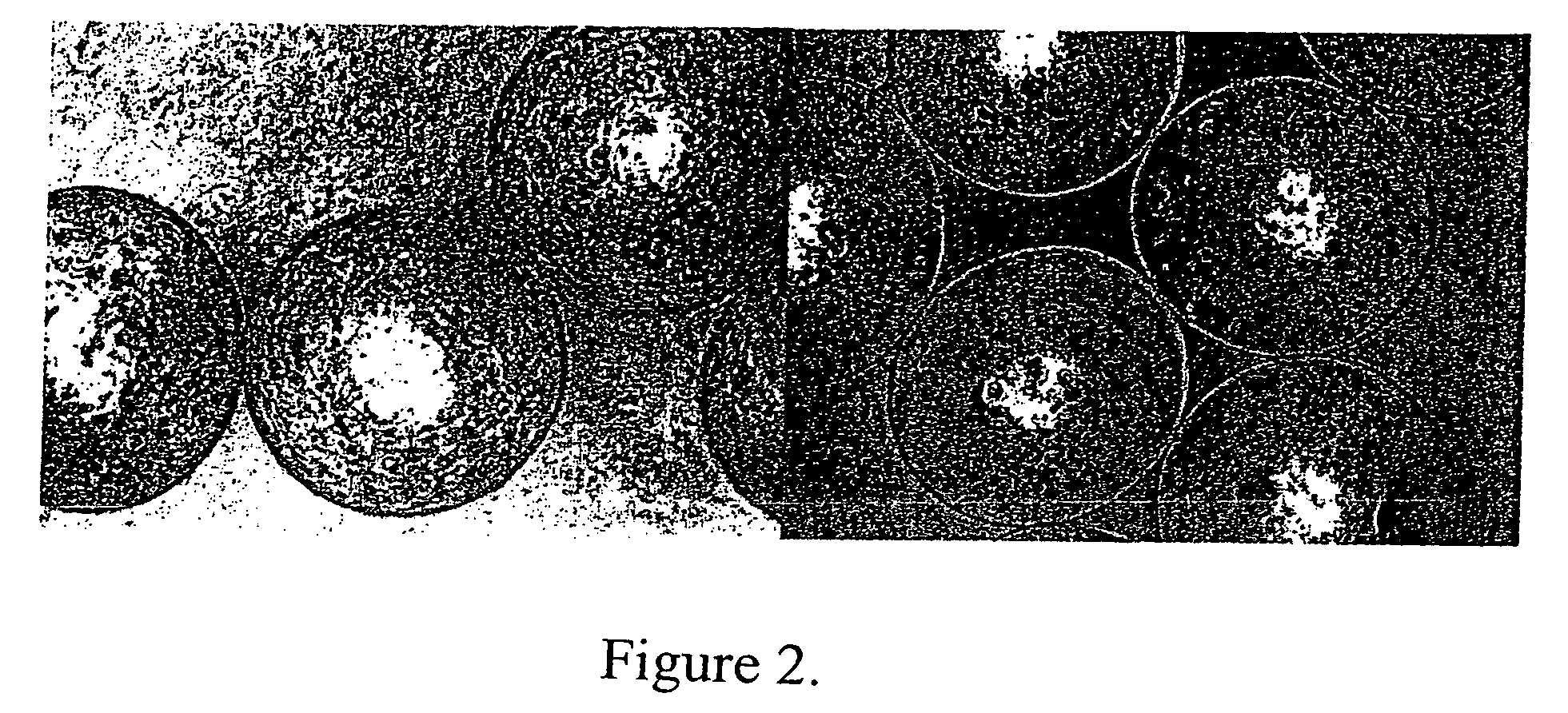 Use of alginate matrices to control cell growth