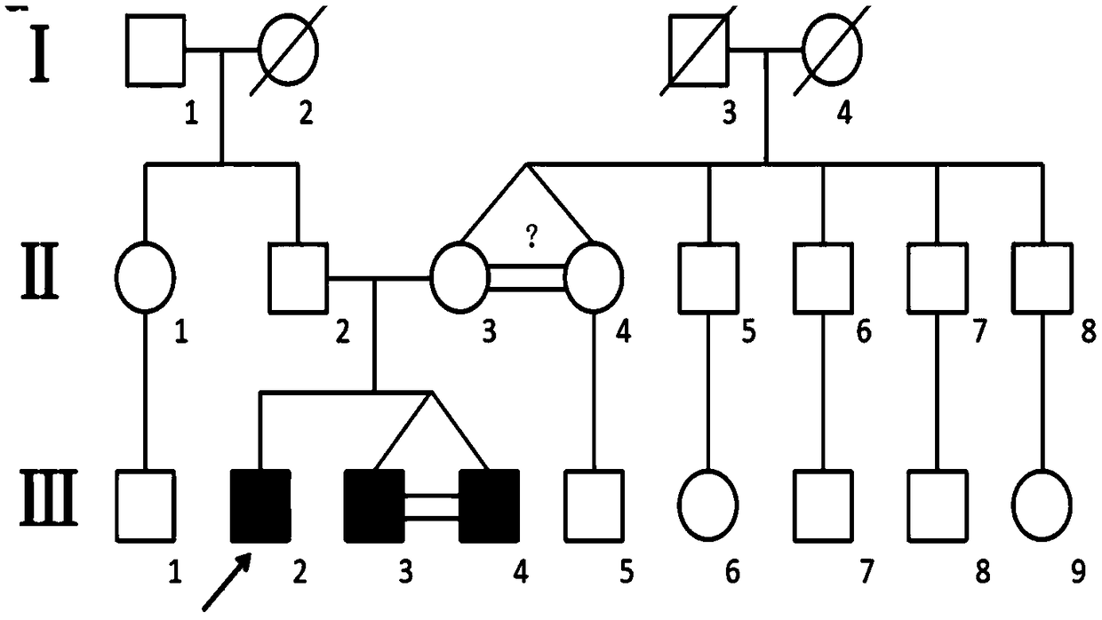 Neuropsychiatric retardation and advanced cognitive function disorder virulence gene set as well as detection primer and kit thereof