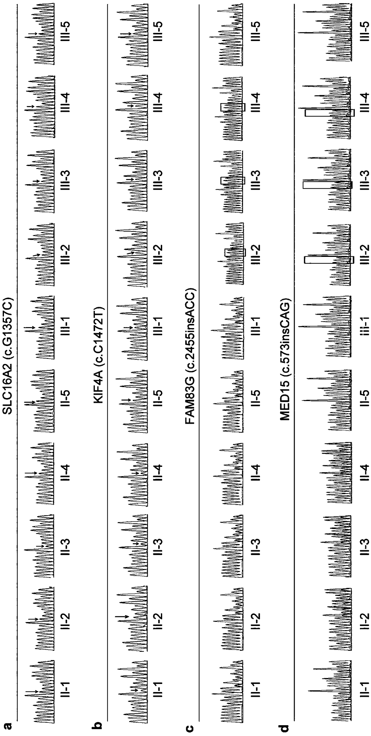 Neuropsychiatric retardation and advanced cognitive function disorder virulence gene set as well as detection primer and kit thereof