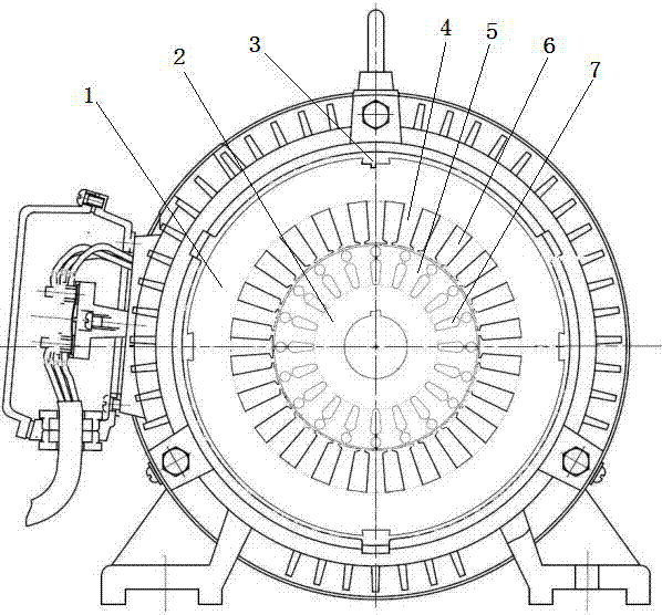 Superefficient 4000W two-pole three-phase asynchronous motor