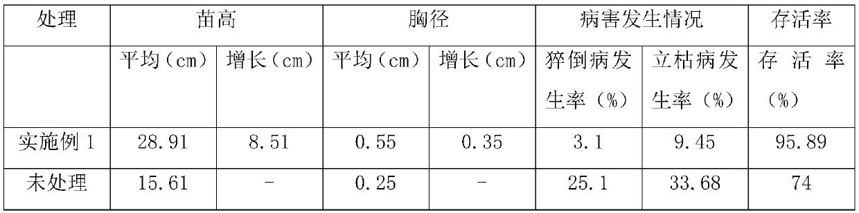 Ectomycorrhizal fungus complex microbial agent