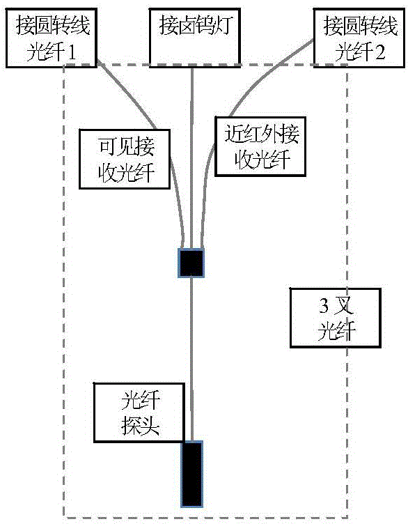 System and method for simultaneously detecting quality parameters of raw meat from multiple points