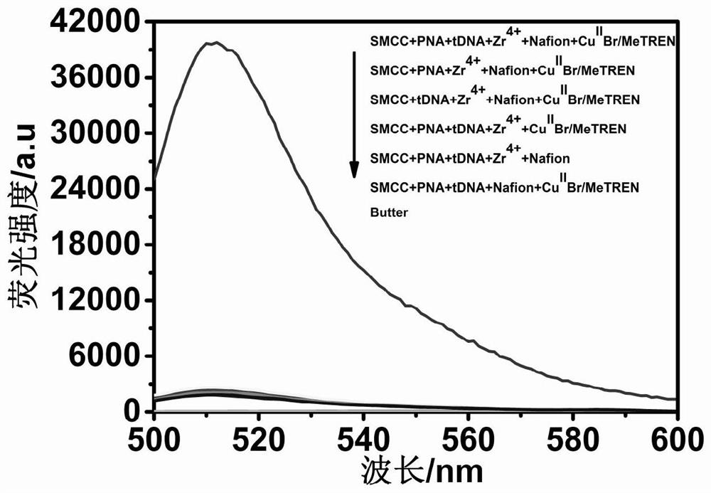 A kit for early diagnosis of lung cancer based on signal amplification of nafion-induced atom transfer radical polymerization