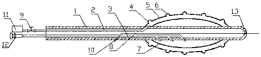 Double-balloon precise quantitative drug injection catheter