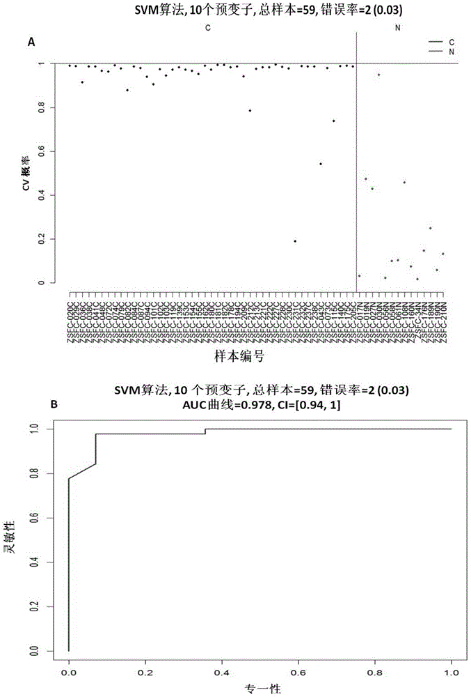 Application of fingerprint spectrum consisting of microRNAs in diagnosis and treatment of human ovarian cancer