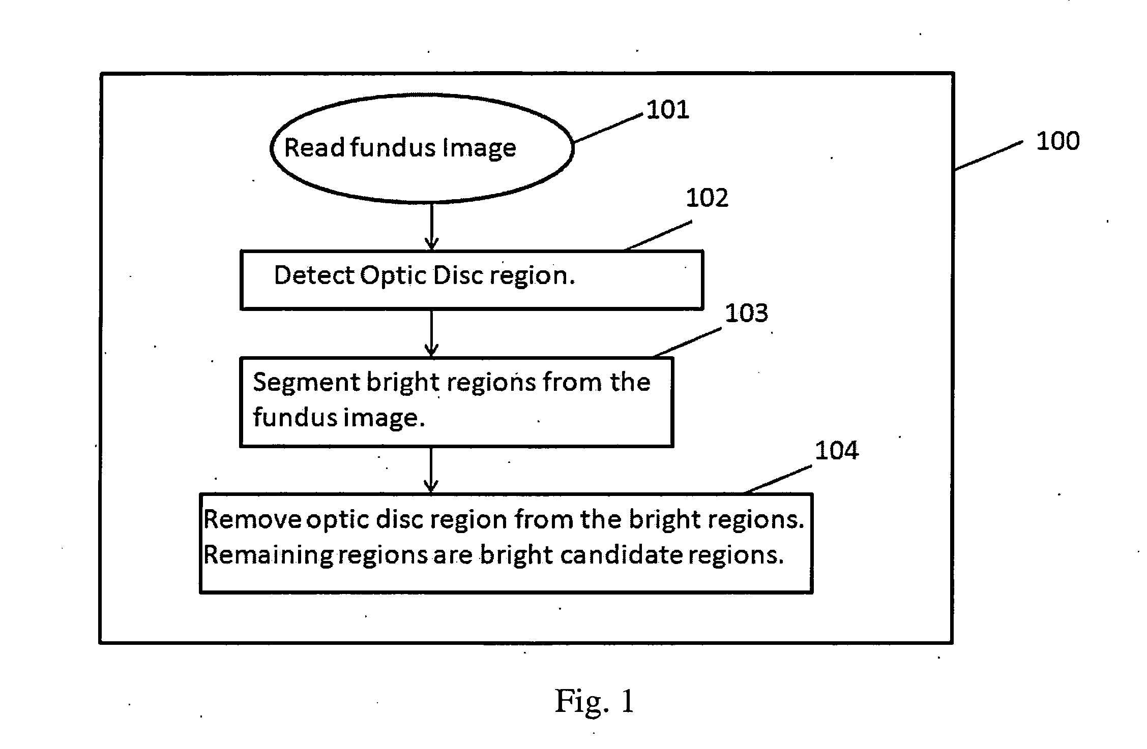 Method and apparatus to detect lesions of diabetic retinopathy in fundus images