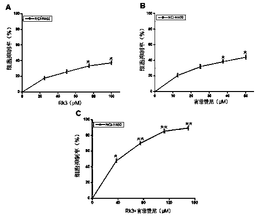 Pharmaceutical composition for treating lung cancer