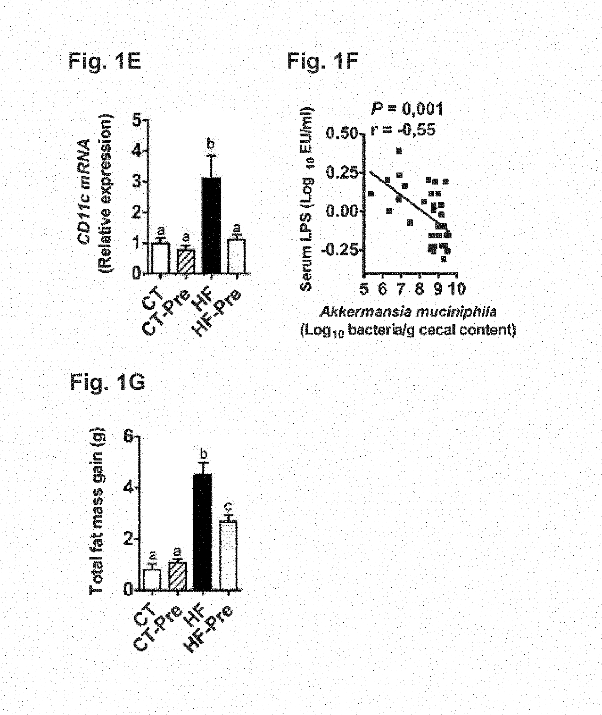 Use of akkermansia for treating metabolic disorders