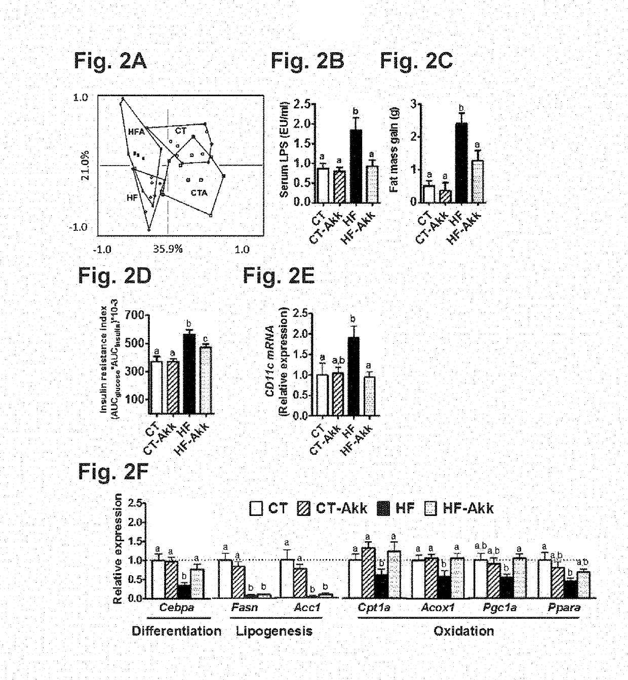 Use of akkermansia for treating metabolic disorders