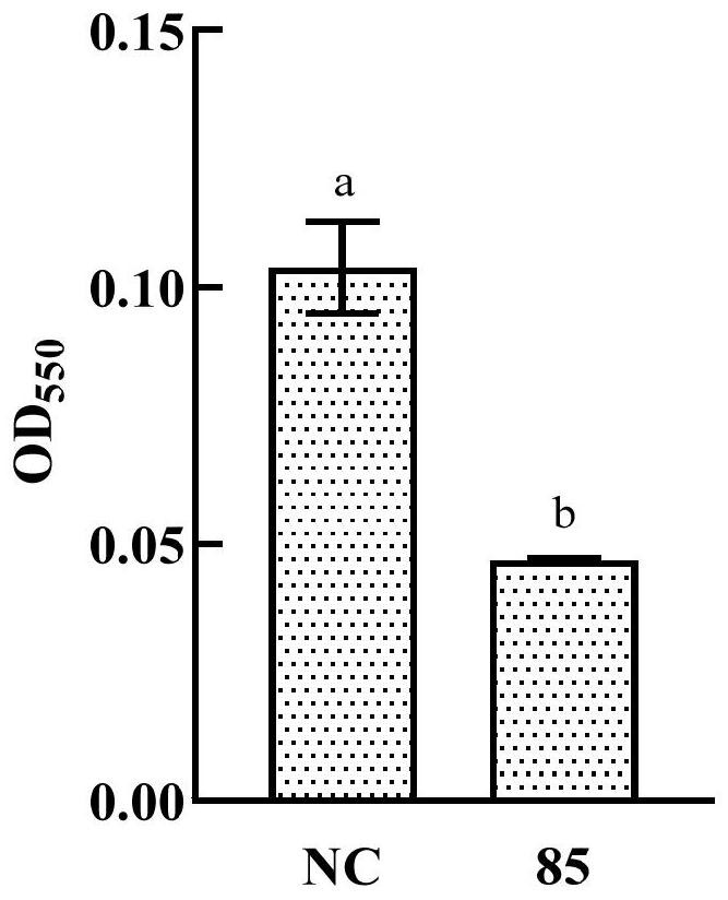 N-acylhomoserinelactone degrading enzyme and application thereof