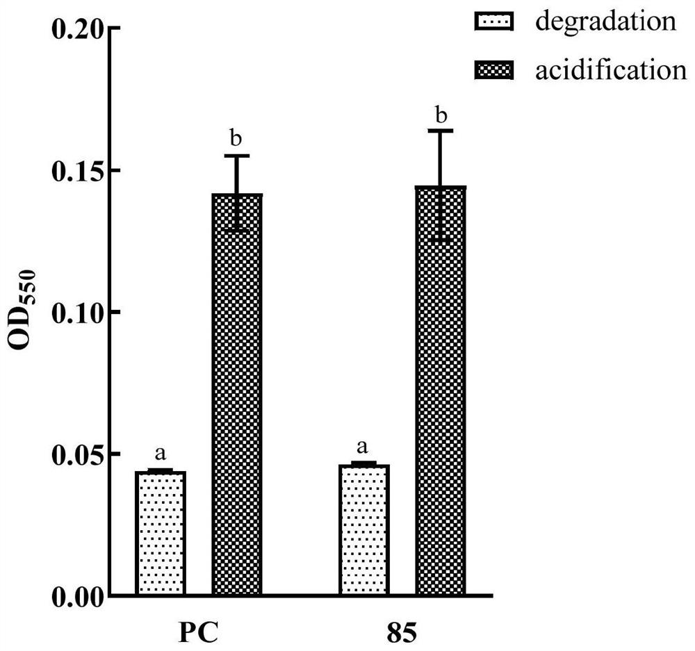 N-acylhomoserinelactone degrading enzyme and application thereof