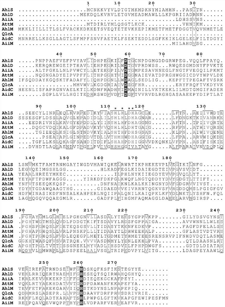 N-acylhomoserinelactone degrading enzyme and application thereof