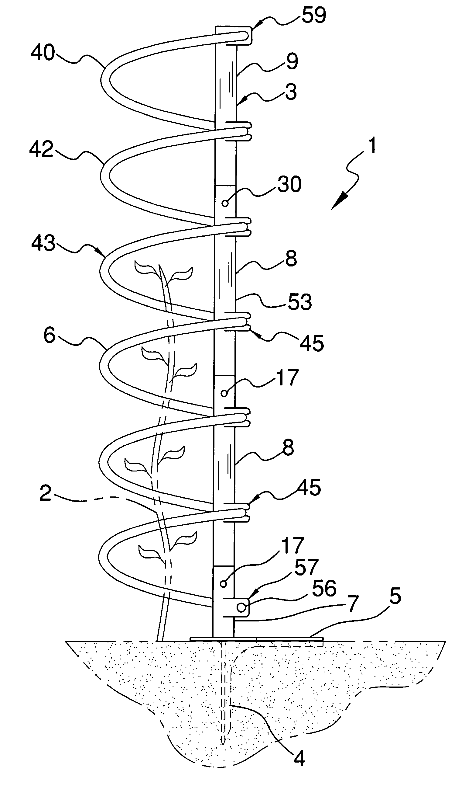 Spiral plant support