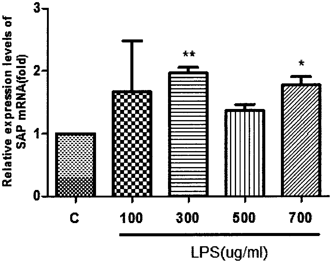 Drug for inhibiting serum amyloid proteins (SAP)