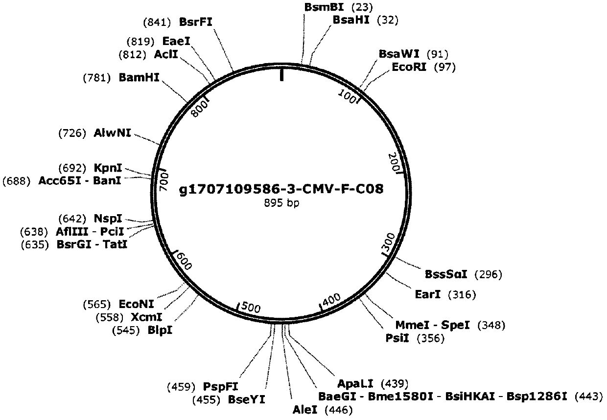 Drug for inhibiting serum amyloid proteins (SAP)