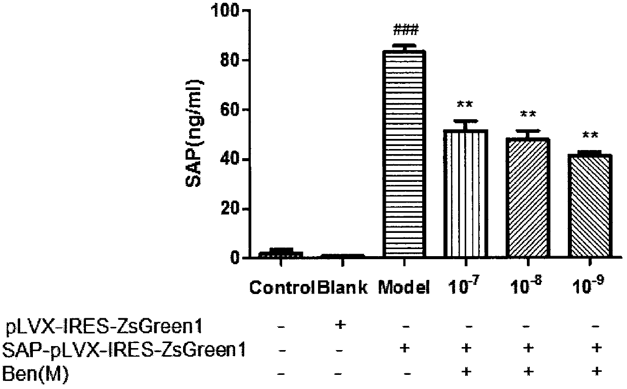 Drug for inhibiting serum amyloid proteins (SAP)