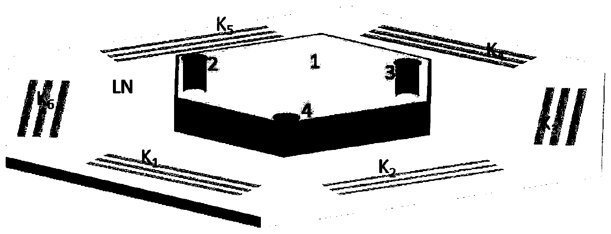 Hexagonal surface wave acoustic tweezer chip for cell arrangement and assembly